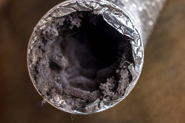 Best Dryer Vent Cleaning in Scandia, MN