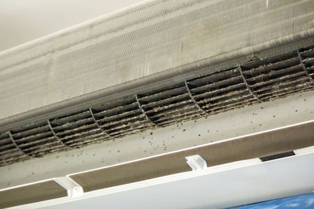 Best Duct Repair and Sealing Services in Scandia, MN